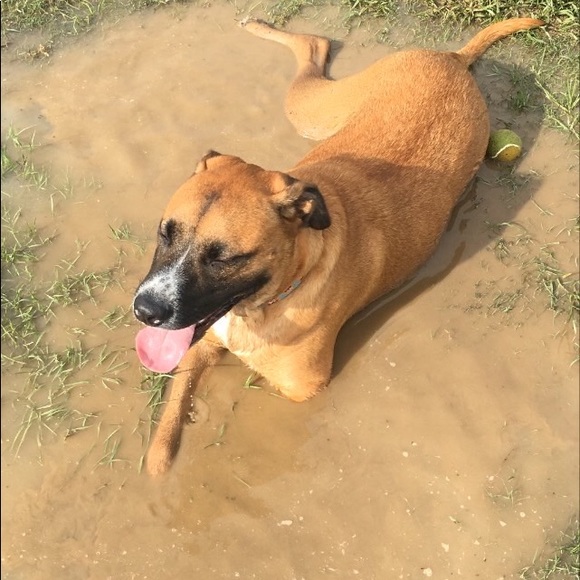 Meet your Posher, Linda - Picture 3 of 3